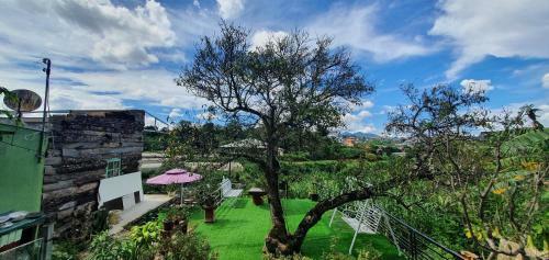 ?�n L?ng Homestay & Coffee