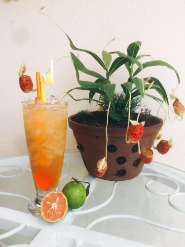 Apartamento Bungalow Homestay Danang
