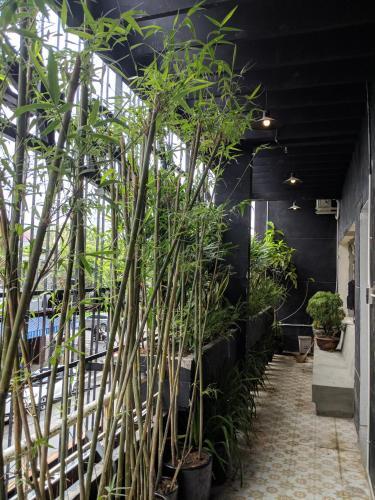 Albergue The Secret Garden