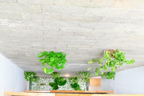 Apartamento D&c House