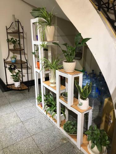 Apartamento Rainbow Building