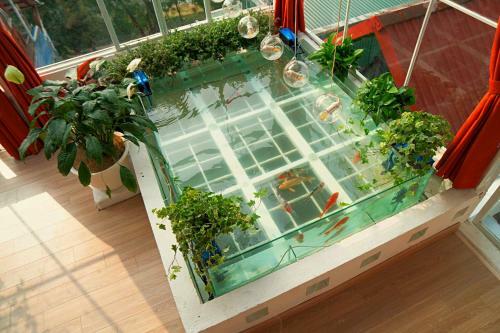 Amazing View - Langmandi House