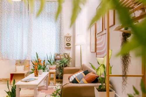 Avocado Apartment