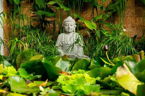Bed & Breakfast The An Retreat Hoi An
