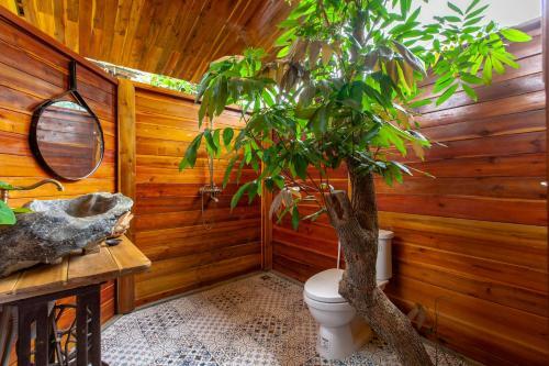 Hotel Trang An Lamia Bungalow