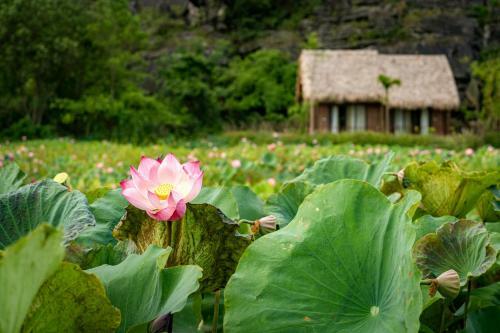 M??ng Village Ninh B�nh