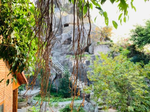 Trang An Mountainside Homestay