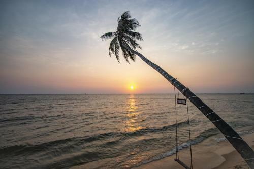 Hotel Cassia Cottage