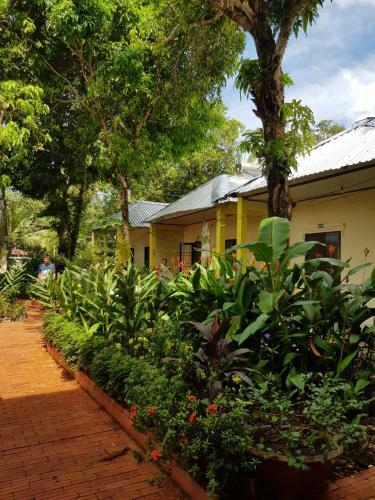 Hotel Sunny Backpackers