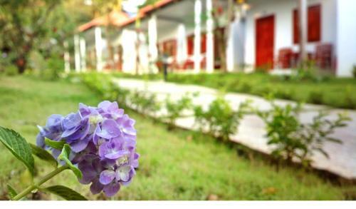 Hostal Highland Bungalow