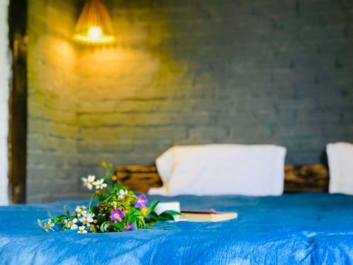 Hotel C?mlam Eco House