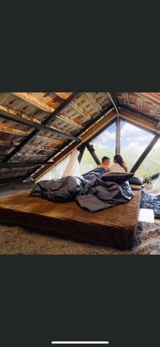 T?i L� ? Homestay