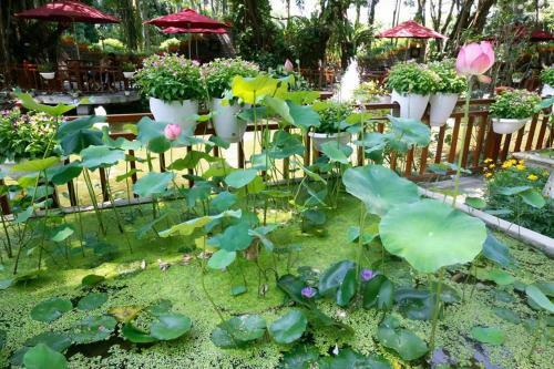 Hotel S�ng H?ng Resort