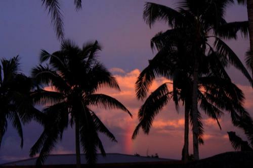 Hotel Return To Paradise Resort