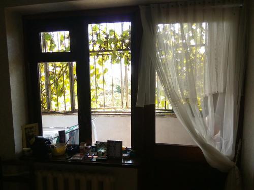 Apartamento ?????? ???????? ? ???????