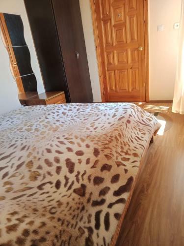 Hostal Alisa