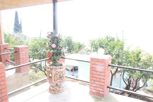 Apartamento ???????? ??? �??? ?? ????�