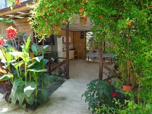 Hostal Pomegranate Yard