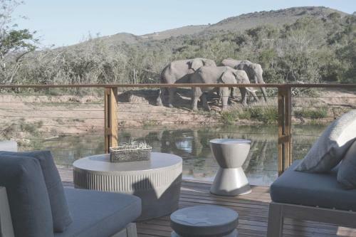 Barefoot Addo Elephant Lodge