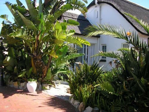 Bed & Breakfast Lagoon Lodge