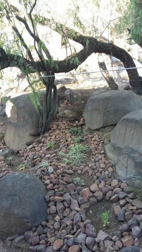 Hostal Karoo-koppie