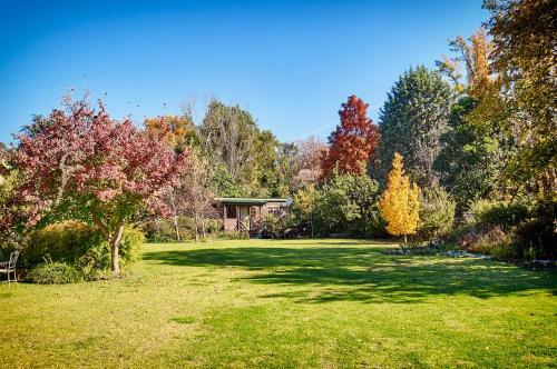 Apartamento Forest Lane