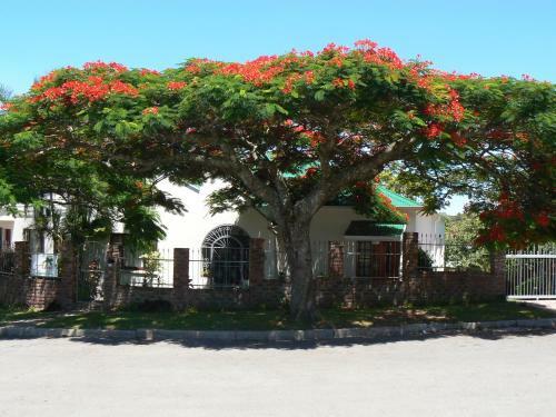 Bed & Breakfast Aloha B & B