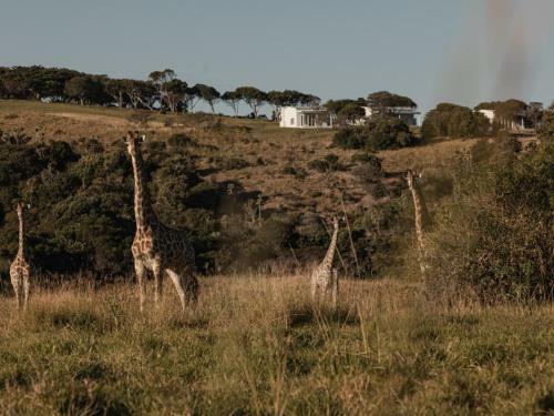 Apartamento Mount Gulu Reserve