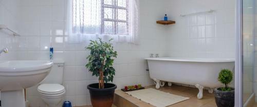 Hostal Crowned Crane