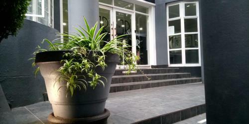 Hotel The Jack Rose