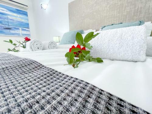 Hostal Ikhaya Lesizwe Guest House