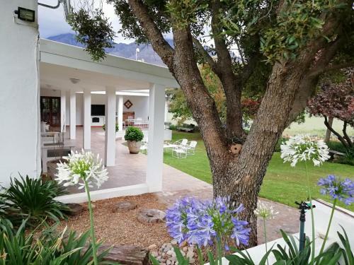 Bed & Breakfast Blue Lily Retreat