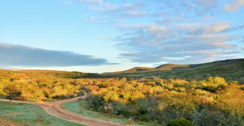 Hotel Garden Route Safari Camp