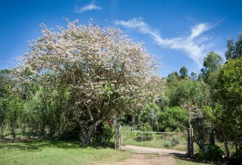 Agroturismo Assegai Rest