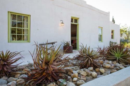 African Relish - Akkedis Cottage