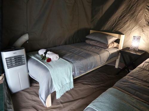 Kruger Park Tours Glamp
