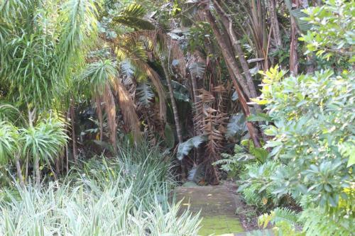 Apartamento San Lameer Villa - 3206