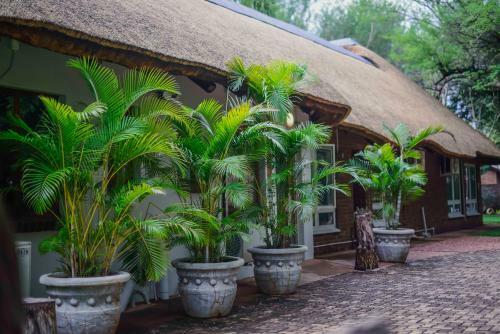 Hostal Stay@sparks Guesthouse