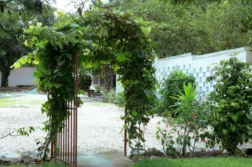 Bed & Breakfast Natwange Lodge