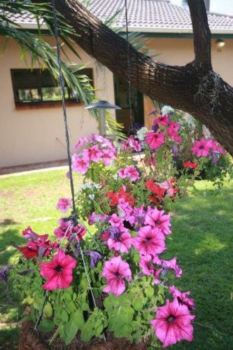 Hostal Palm Cottage
