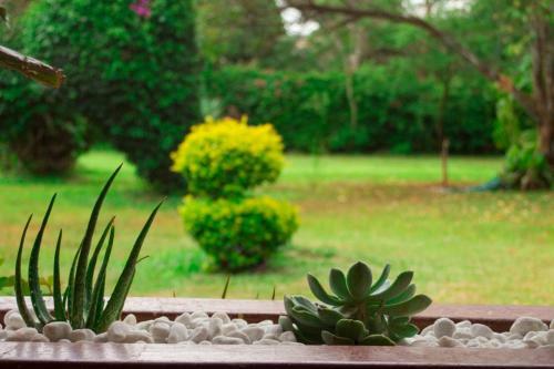Pamushana Comfortable Home Away From Home