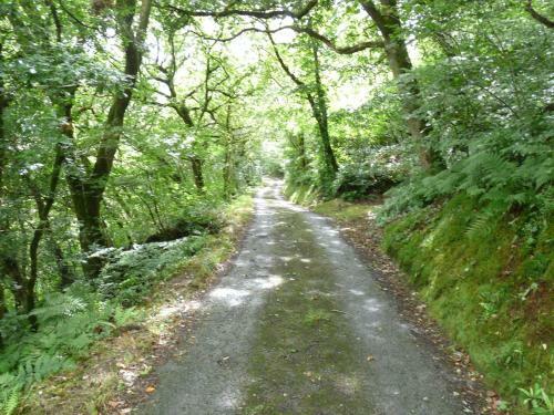 Romany Wagon Retreat