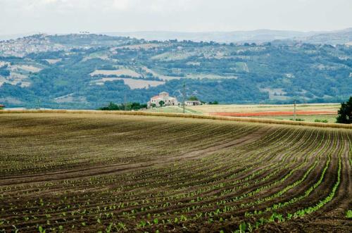 Agroturismo La Torretta Baronale