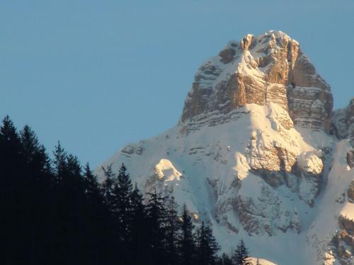Hostal Affittacamere Pizzeria Marmolada