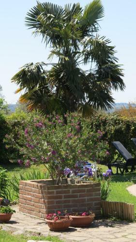 Bed & Breakfast Biancocancello