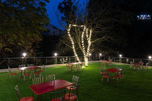 Hotel Wild Wood