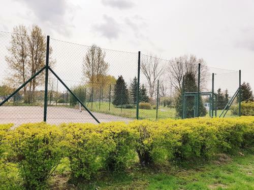 City Dwor Apartament