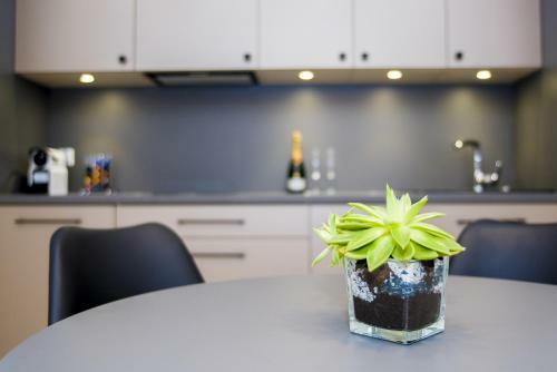 Apartament Aquarius