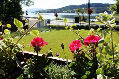 Hotel Koszarka Venue & Spa