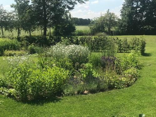 Bed & Breakfast De Olde Veld Hoeve